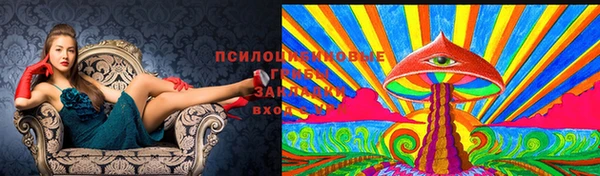 соль курить ск Арсеньев