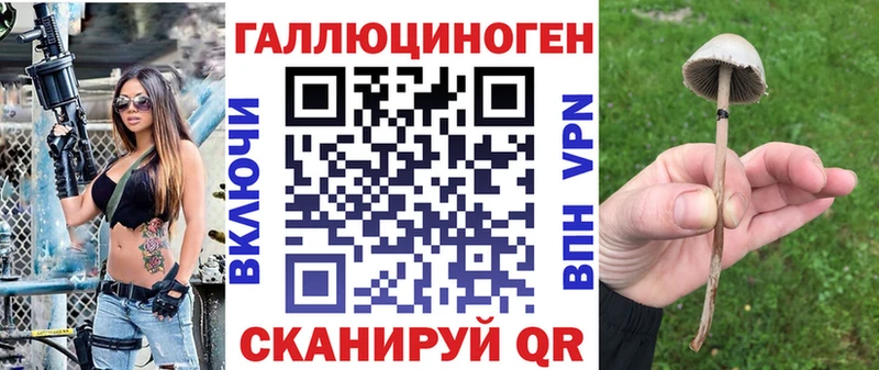 Псилоцибиновые грибы прущие грибы Канаш