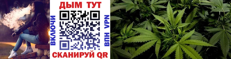 Каннабис конопля  блэк спрут ссылки  Канаш  купить наркотики сайты 